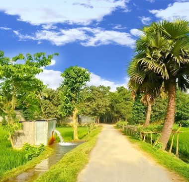 বরুড়া উপজেলায় বেকারত্ব দূরীকরণে ৫টি ইউনিক কর্মসংস্থানের আইডিয়া
