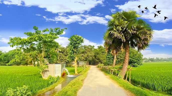 বরুড়া উপজেলায় বেকারত্ব দূরীকরণে ৫টি ইউনিক কর্মসংস্থানের আইডিয়া