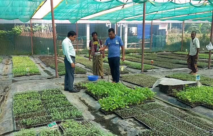 বরুড়া উপজেলায় কর্মসংস্থান: চ্যালেঞ্জ ও সম্ভাবনা