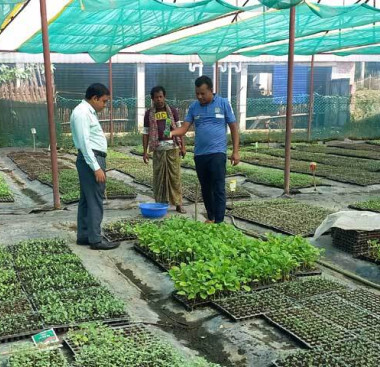 বরুড়া উপজেলায় কর্মসংস্থান: চ্যালেঞ্জ ও সম্ভাবনা